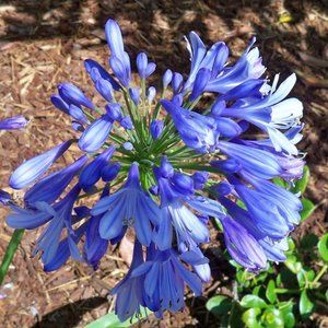 Meet your Posher, Debra